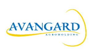 Авангард